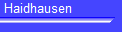 Haidhausen